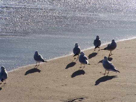 Attente....