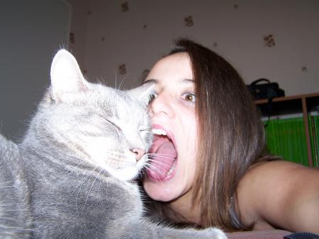 Zébulon, le chat de mon frère Willy