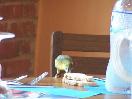 A table!