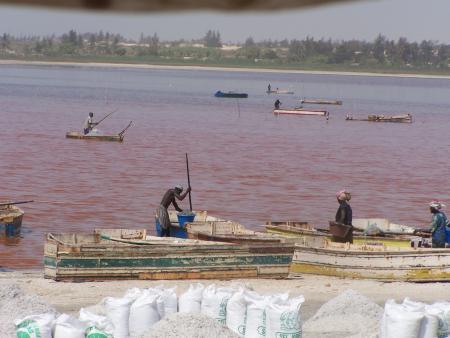 collectes de sel au Lac Rose.