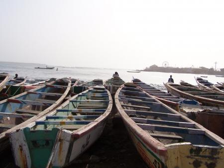 Pirogues de peche