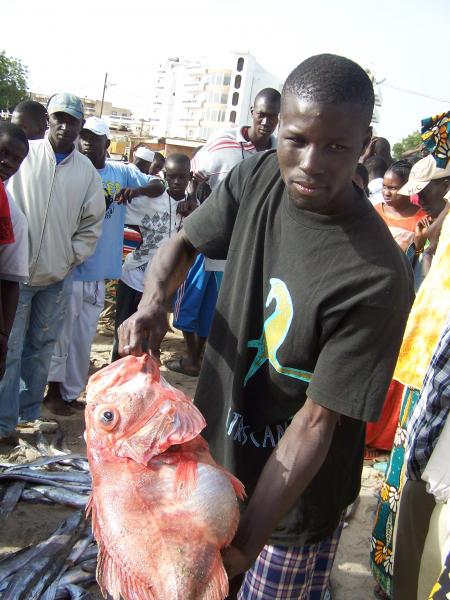 retour de peche