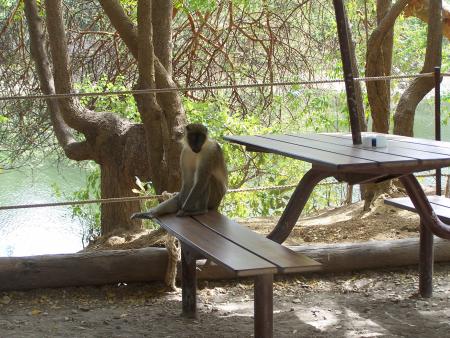 A table!