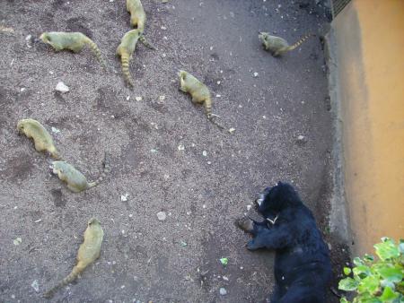 Zoo de Cap Ferrat