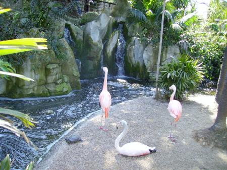 Zoo de Cap Ferrat
