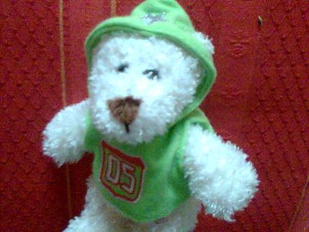 l'ours blanc rapeur