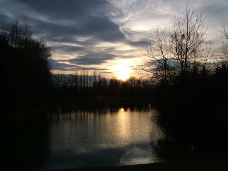 Mon jardin