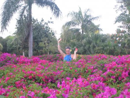 piscine de fleurs