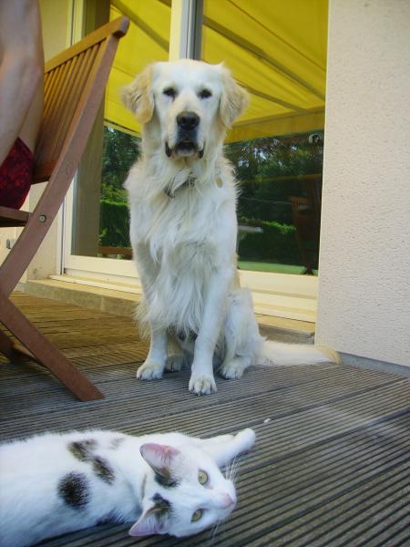 Enzo et némo