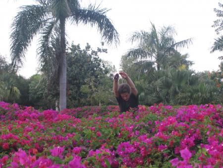 Piscine de fleurs