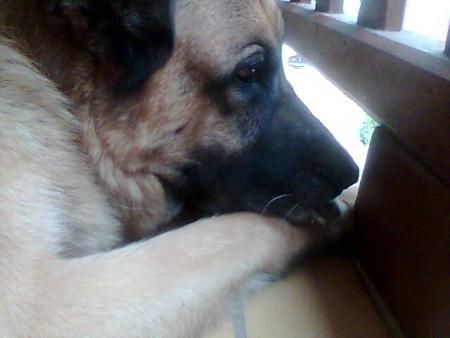 Nico suce son pouce