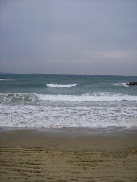 Les moutons et la mer