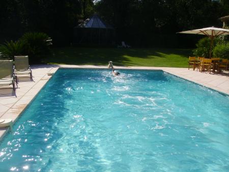 Niag attaque Willy qui se baigne