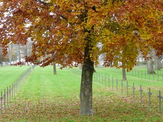 Cimetière militaire allemand de la 2em guerre mondiale