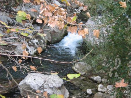 Couleurs de l'automne