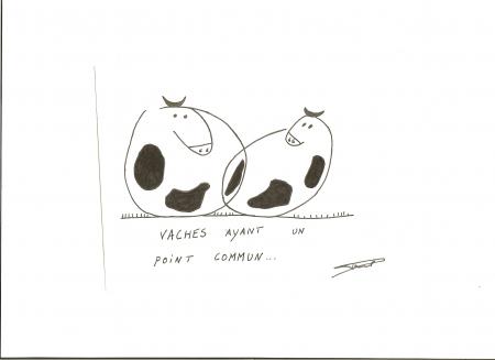 les vaches 