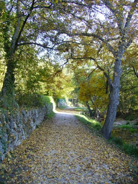 Couleur d'automne