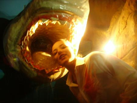 La canal aux requins de Marineland 