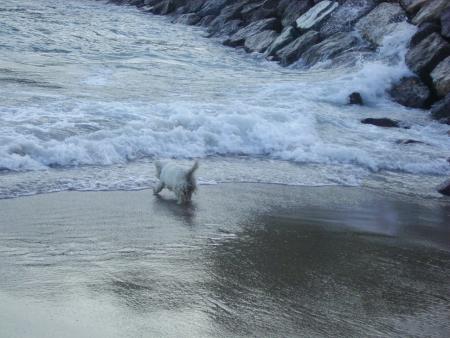 Niagara mort les vagues