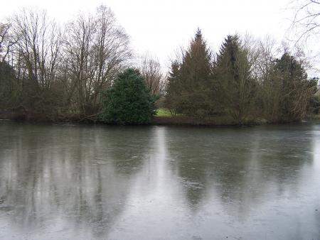 Mon jardin l'hiver